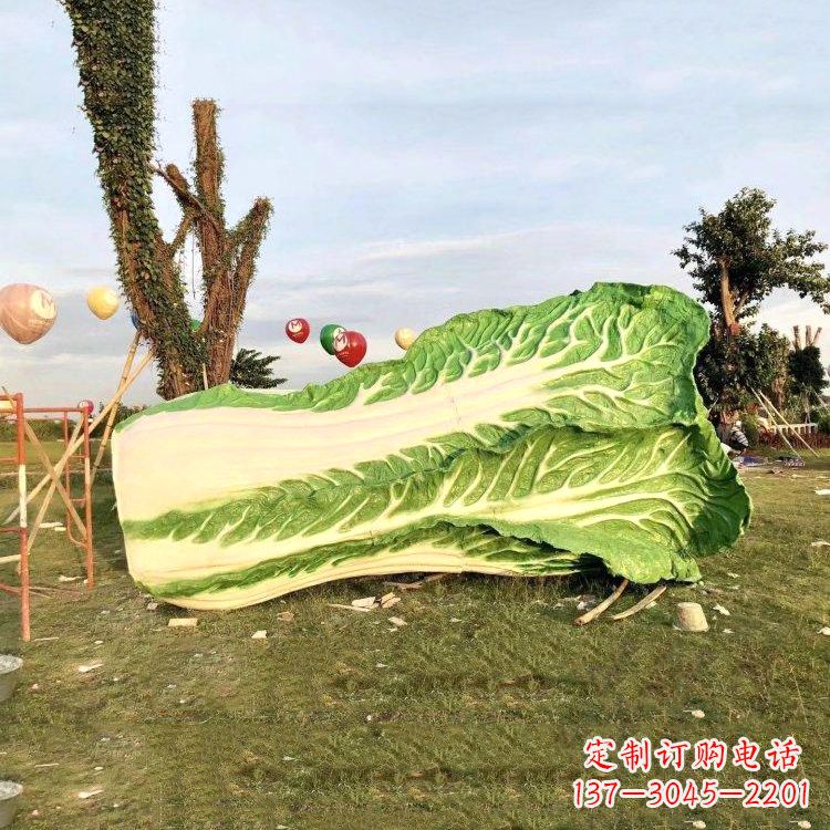 山东新鲜白菜“精致生活”系列