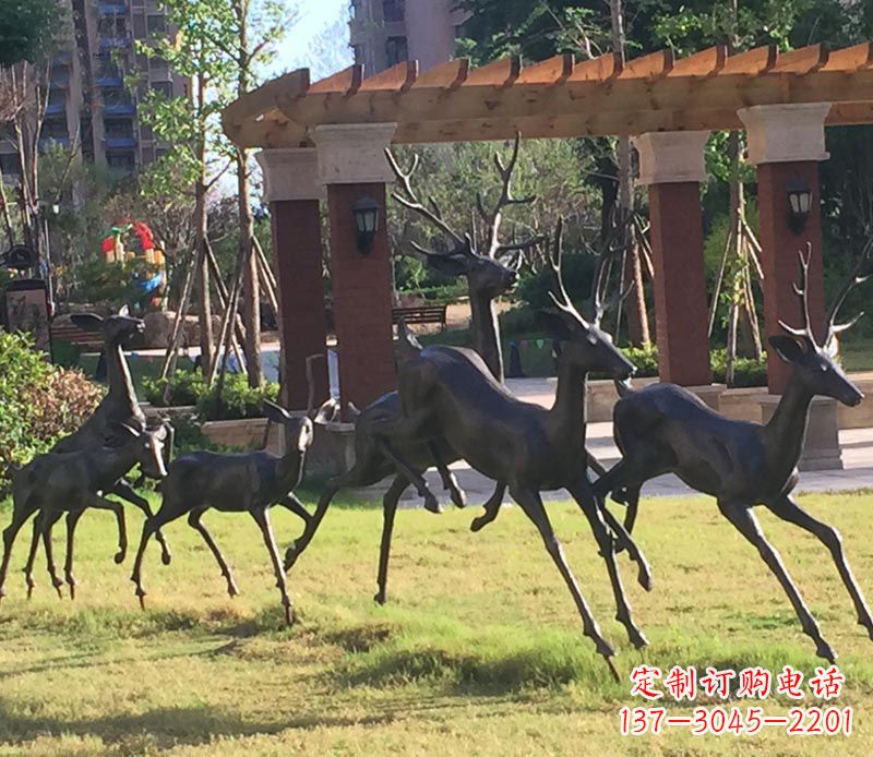 山东“梅花鹿传递自由与美好”
