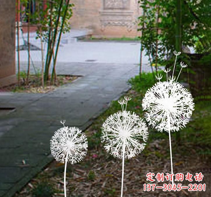 山东不锈钢蒲公英点亮城市之美