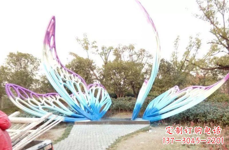 山东彩色不锈钢蝴蝶