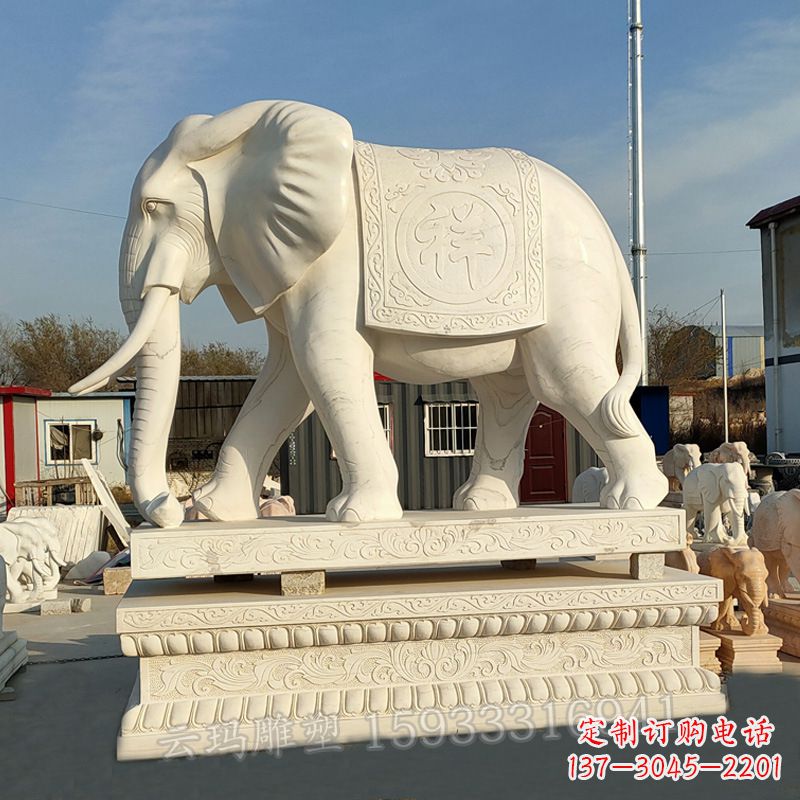 山东精致大象石雕雕塑