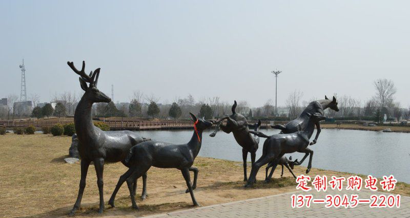 山东公园鹿动物铜雕 (3)