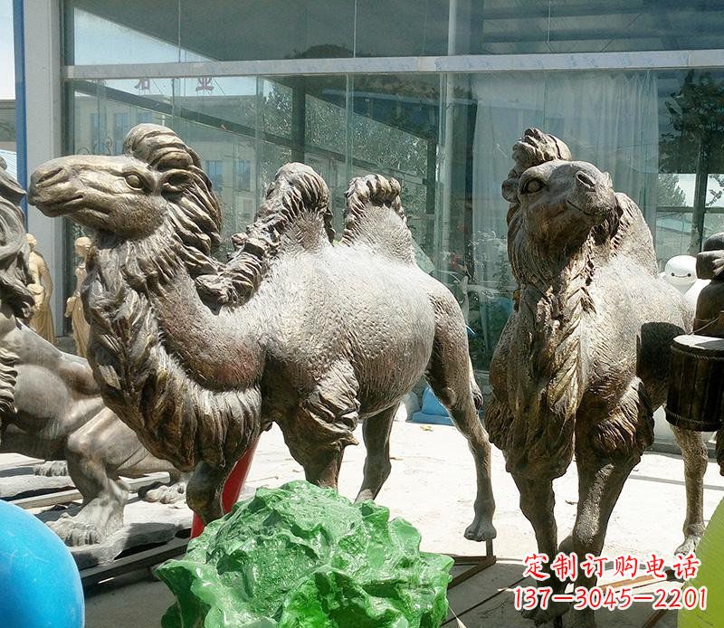 山东公园骆驼动物铜雕 (2)