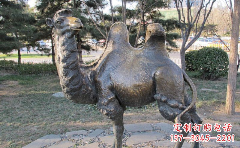 山东铜骆驼雕塑——浓缩自然美丽