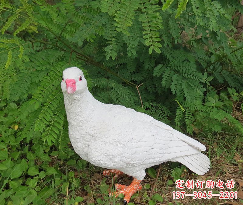 山东灵鸽雕塑鸽子呢