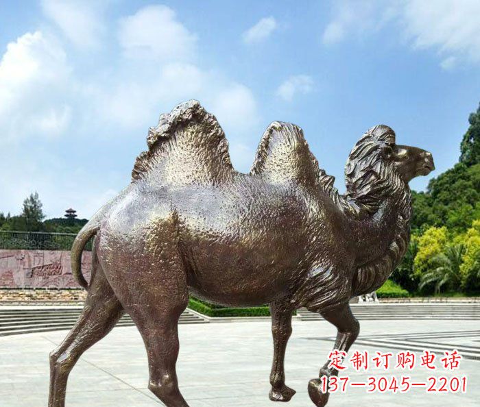山东欣赏骆驼美感,购买骆驼铜雕