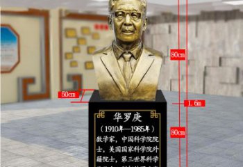 山东精美的华罗庚玻璃钢仿铜雕塑