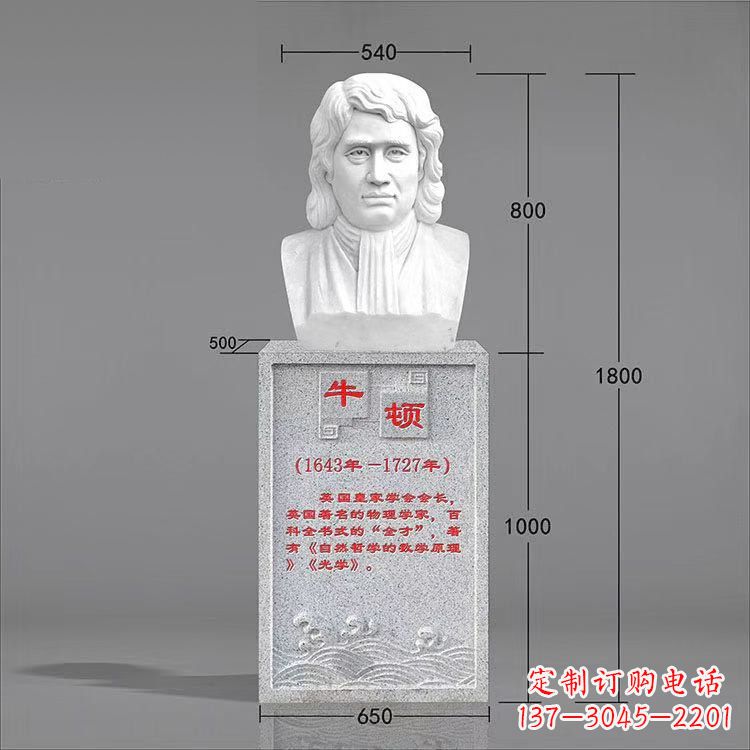 山东艺术精灵:牛顿汉白玉石头像雕塑