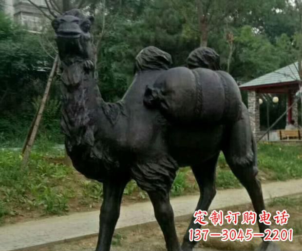 山东驮行李的骆驼铜雕