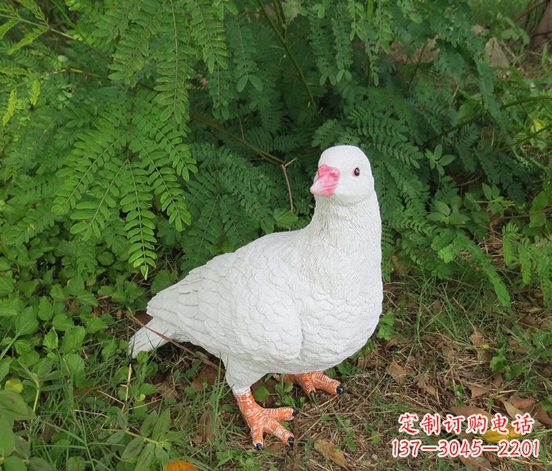 山东潍坊青年路和平鸽灰姑娘雕塑
