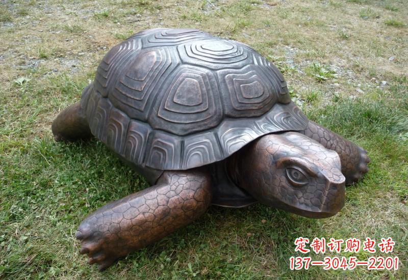 山东乌龟铜雕222