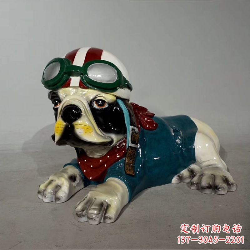 山东宇航员斗牛犬