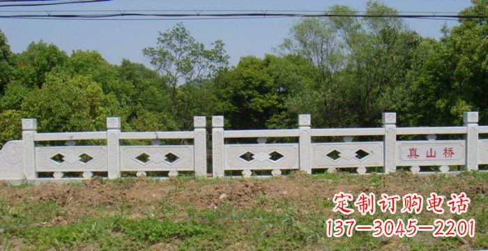 山东园林景观真山桥石雕栏板 (2)
